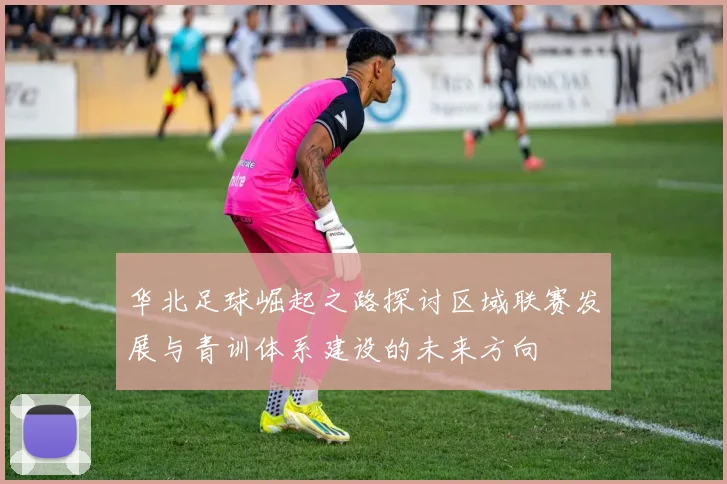 华北足球崛起之路探讨区域联赛发展与青训体系建设的未来方向